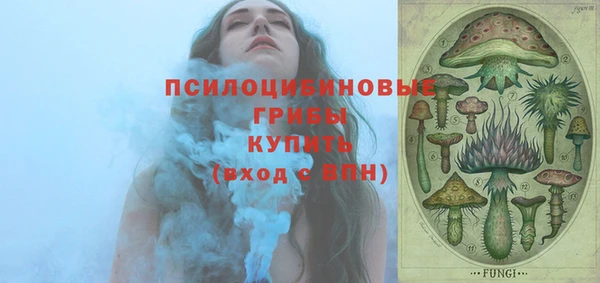 PSILOCYBIN Дмитров