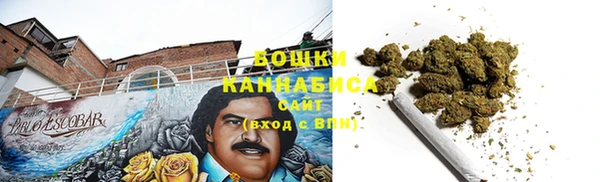 прущие грибы Балашиха