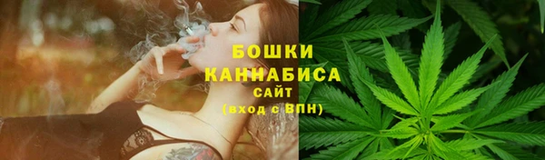 PSILOCYBIN Дмитров