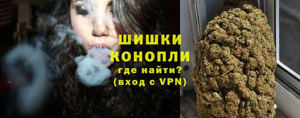 PSILOCYBIN Дмитров
