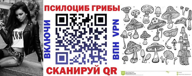 Галлюциногенные грибы Psilocybine cubensis  Новотроицк 