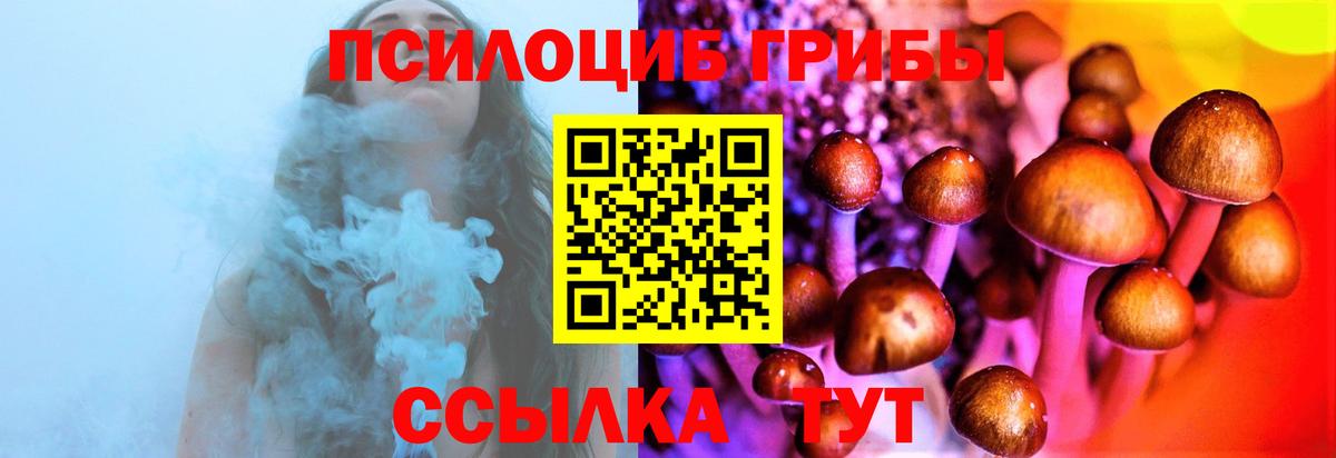 Галлюциногенные грибы мицелий Новотроицк