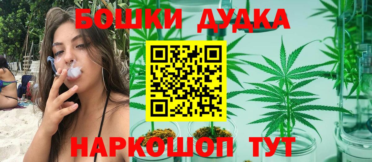 Шишки марихуана семена  Вход с VPN  МАРИХУАНА OG Kush  МАРИХУАНА Amnesia  Марихуана индика  Новотроицк 